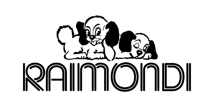 Logo RAIMONDI